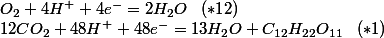 O_2 + 4 H^+ + 4e^- = 2 H_2 O \; \; \; (*12)\\ 12 CO_2 + 48 H^+ + 48 e^- = 13 H_2 O + C_{12} H_{22} O_{11} \; \; \; (*1)